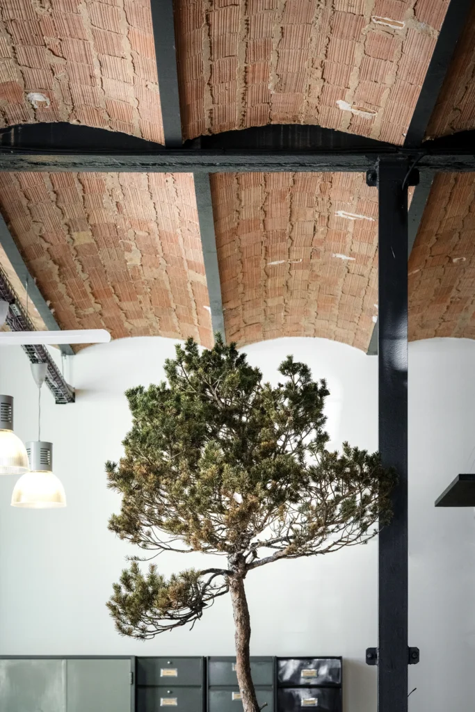 Atelier TDR, agence d’architecture à Valence