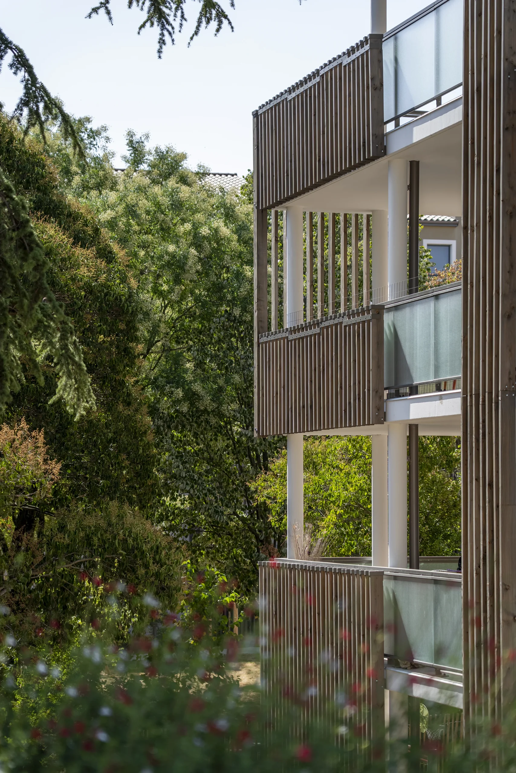 Balcons et claustras en bois du Domaine Marquise ouverts sur la végétation