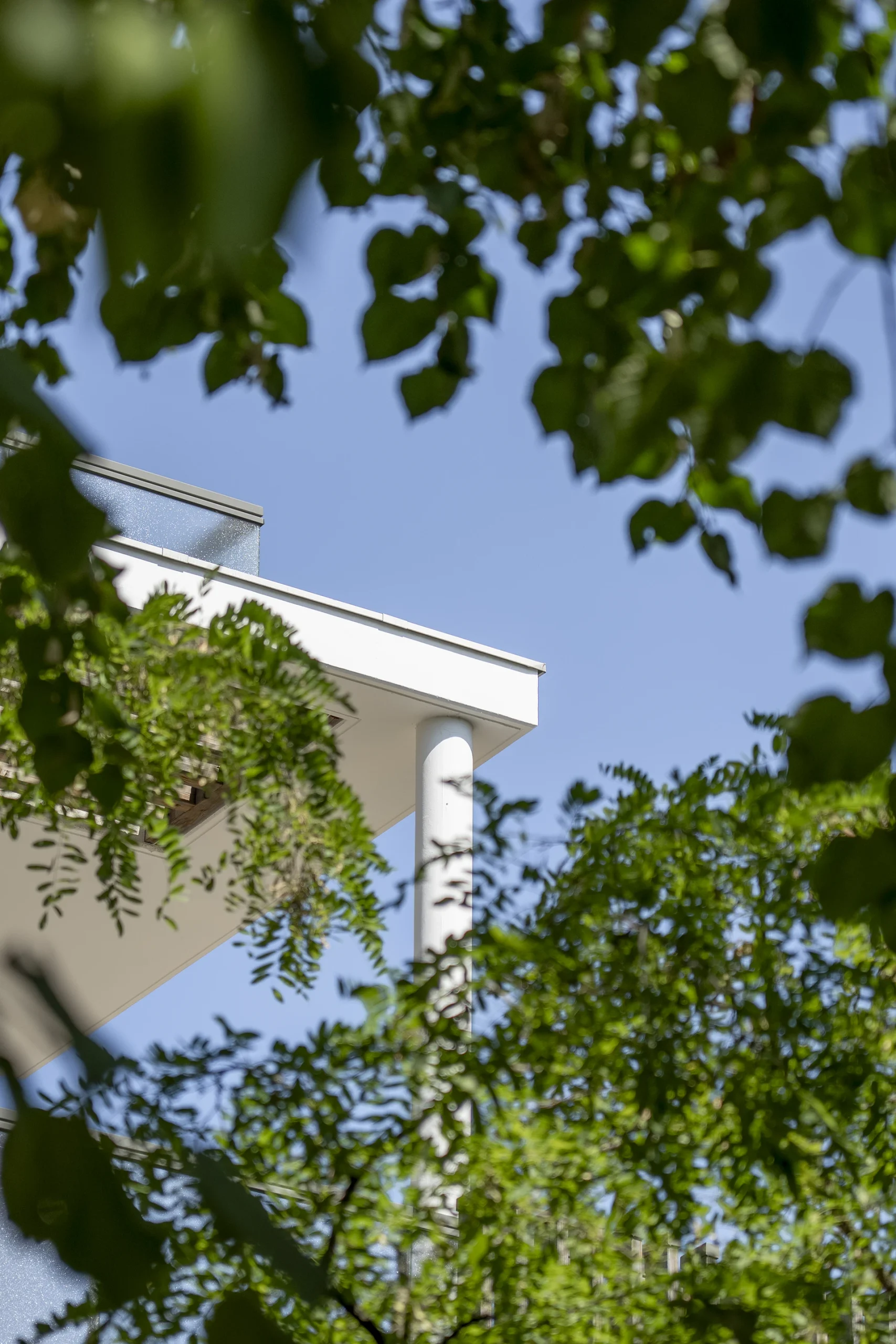 Architecture et végétation du Domaine Marquise vues à travers le parc