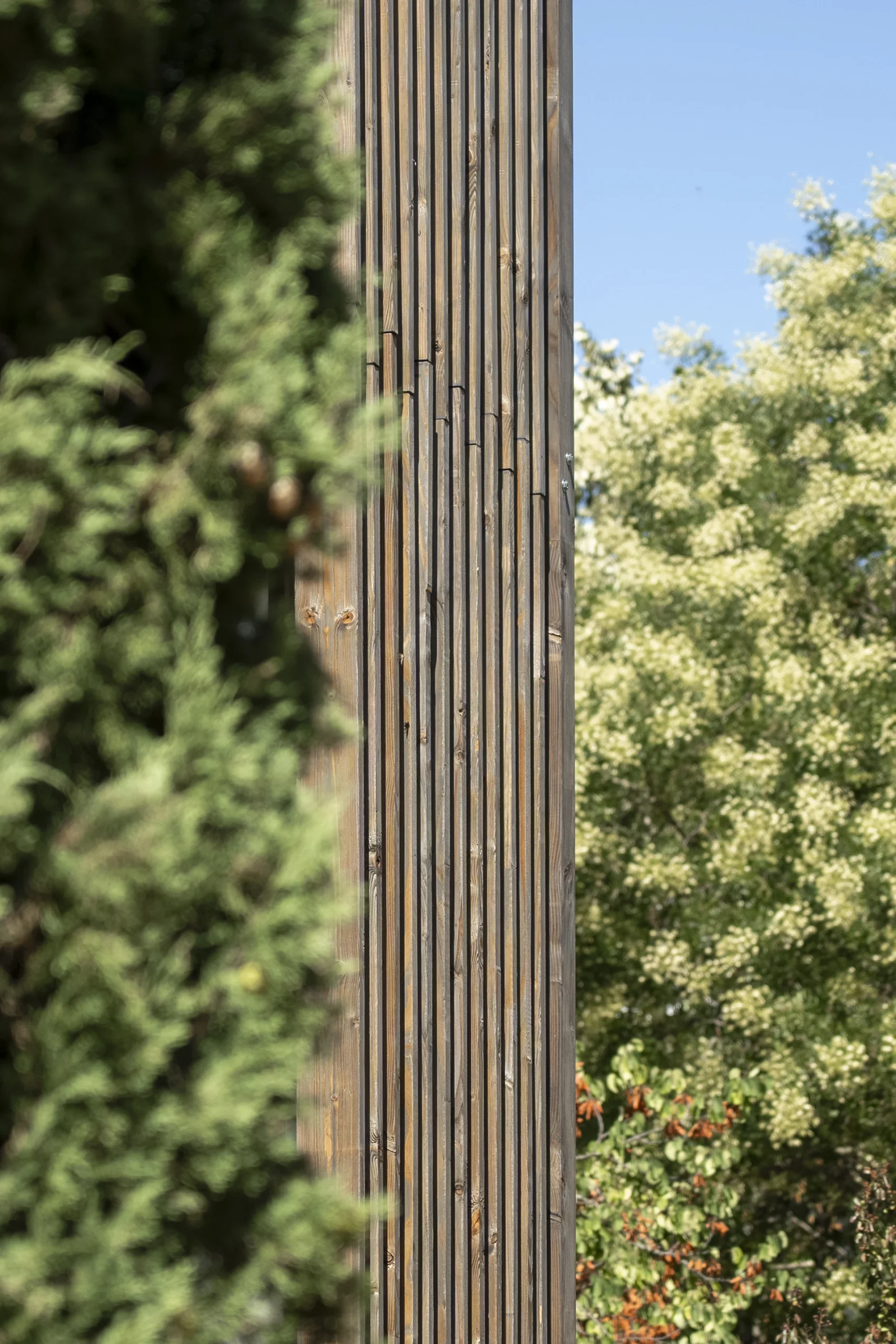 Détail de façade en bois du Domaine Marquise au cœur de la végétation
