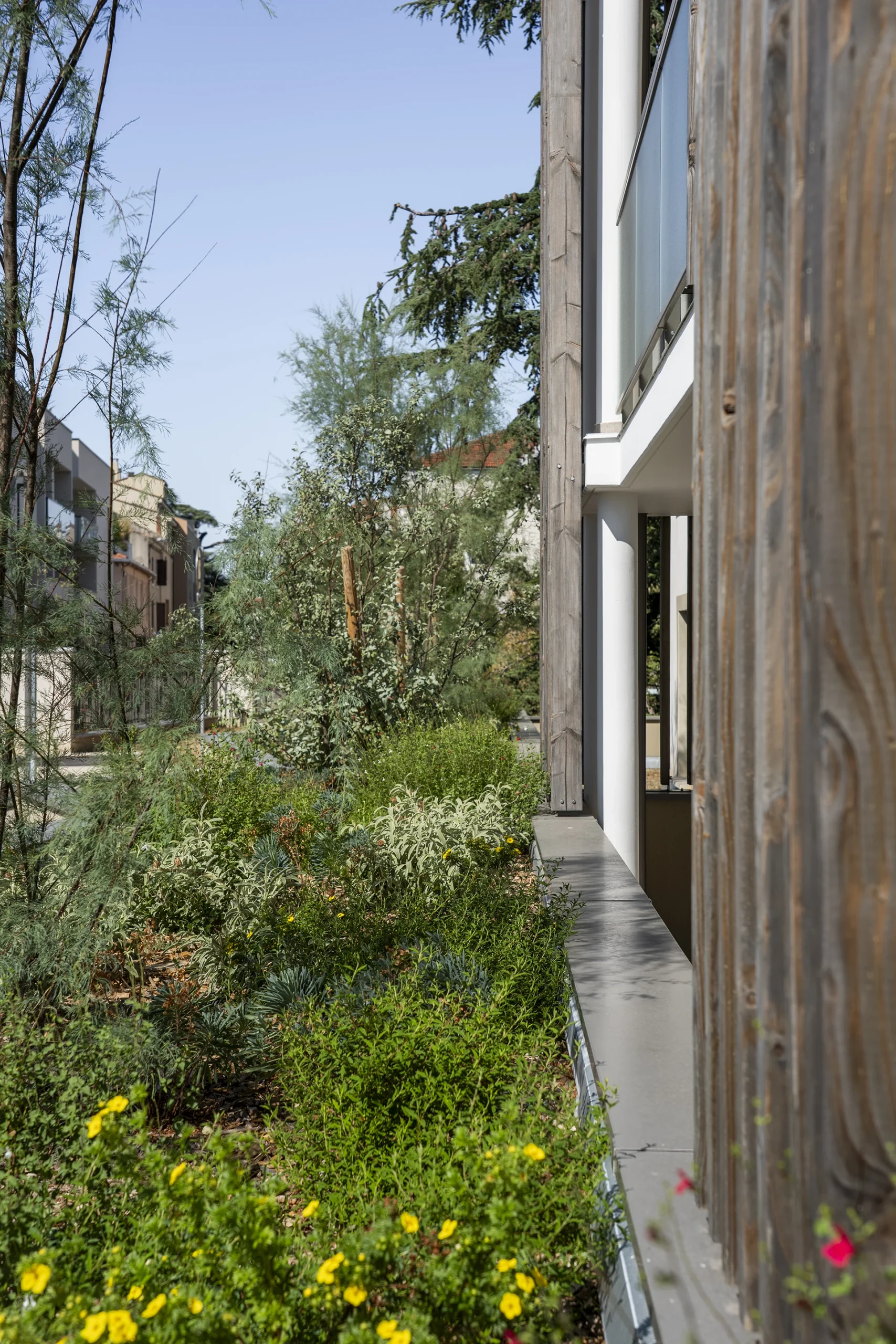Aménagement paysager au pied des façades en bois du Domaine Marquise